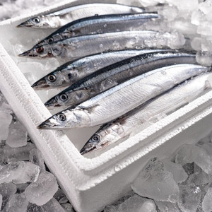 �ܼ��� ��ġ ���� ������ 5���� �Ѹ��� 120g���� ���� ����