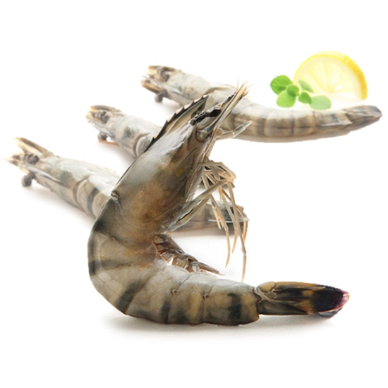 마칸 블랙타이거 새우 중 20개(마리) 500g