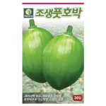 다농 조생 풋호박 씨앗 (600립)_이미지