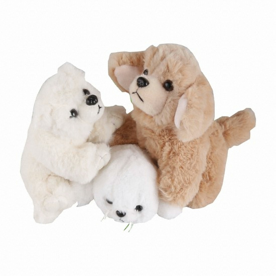 ��ǰ �� �̹���