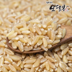  힘찬농부 오달봉 2023 수입 호라산밀 500g [1개]
