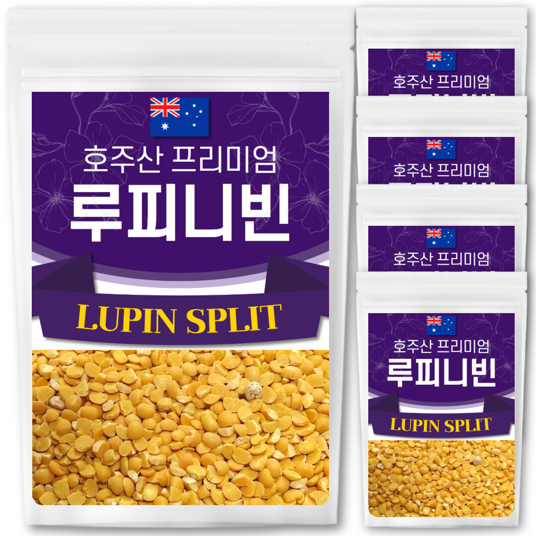 THE큰나무 프리미엄 루피니빈콩 1kg (5개)_이미지
