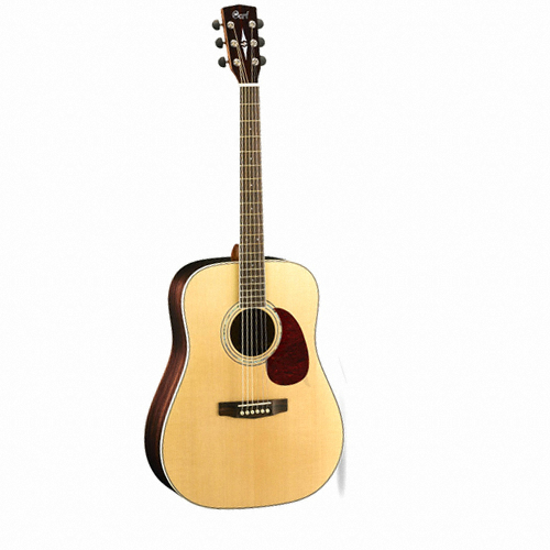 콜트 EARTH-100 RW_이미지