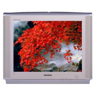 삼성전자 명품 CT-29M6S_이미지