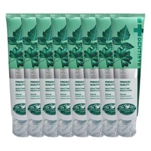 DKSH 덴티스테 플러스 화이트 치약 160g (8개)