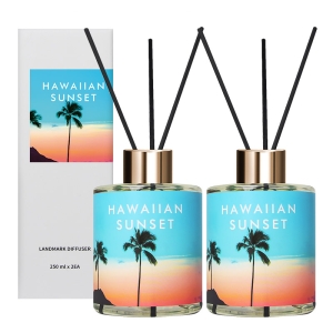 �÷��� ��Ǿ ���帶ũ ��ǻ�� 250m x 2p + ������ƽ 10p ��Ʈ �Ͽ��̾ȼ���