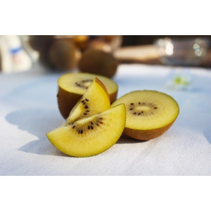 �������� ���ֵ����Ű�� ���Ű�� ���ְ��Ű�� �ߴ�� 1.5KG