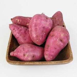 친환경팔도 해남 햇 꿀고구마 왕특 10kg