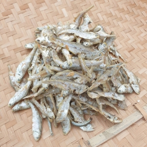 자갈치푸드 업소용 고노리 1.5kg (1개)_이미지