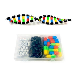 DNA 이중나선구조 모형만들기 EDU-40299 / 과학 체험학습 실습교키트_이미지