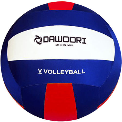 다우리 빅발리볼