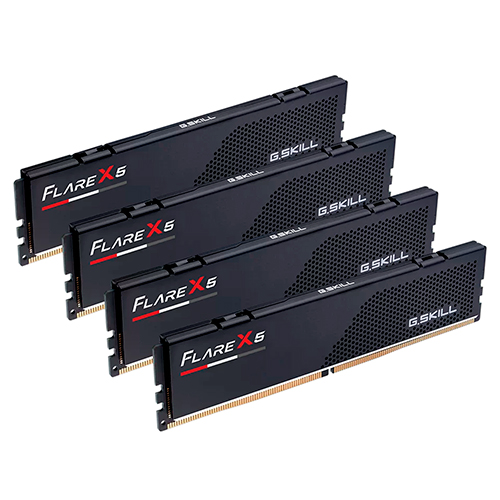 G.SKILL DDR5-6000 CL36 FLARE X5 J ��Ű��