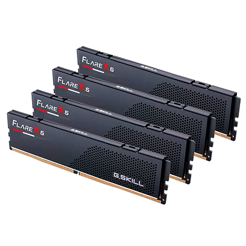 G.SKILL DDR5-6000 CL36 FLARE X5 J ��Ű��