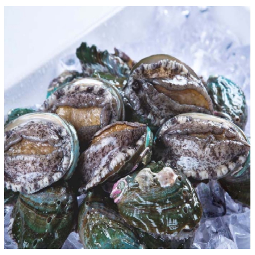 �ϵ���� Ȱ���� 13~14��(����) 1kg