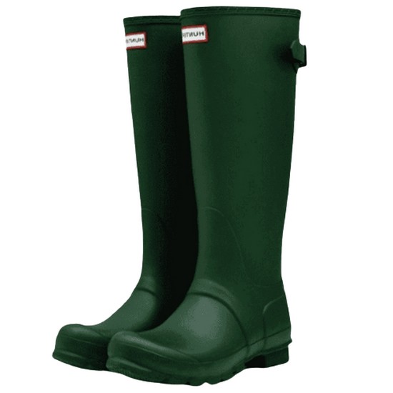 ���� �������� �� ��������ͺ� WFT1001RMA