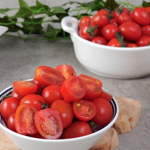 우체국쇼핑 허니팜 산지직송 싱싱한 대추 방울 토마토 2kg