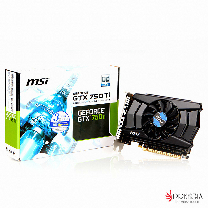 지포스 GTX750 Ti OC 블랙 아머 V1 D5 2GB 대원씨티에스