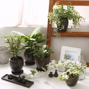 ��ǰ �� �̹���