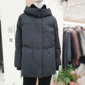 카라렉스다운 F16224349