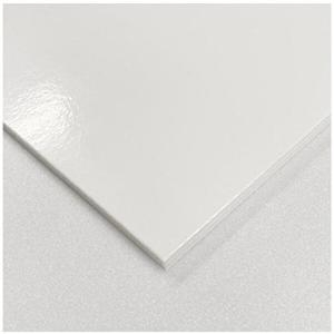 대원 탄탄팝보드 44x59 5T 10장 -34734_W8E2140