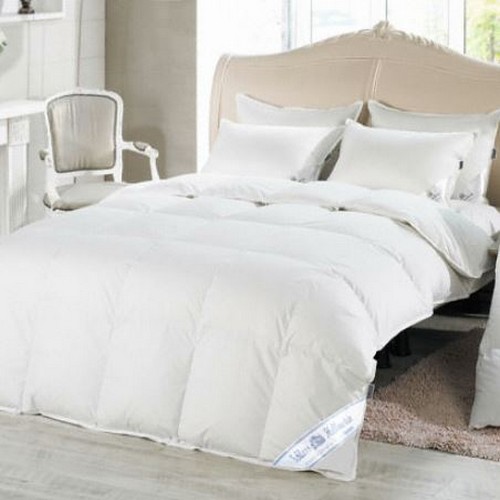 ����ƾ˾ؾ� �ﷻ��Ÿ�� �����̾� �밡�� ������ �̺Ҽ� 1000g