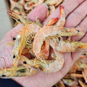 마린보이  국내산 서해안 중하새우 1kg 산지 원물박스그대로 건새우