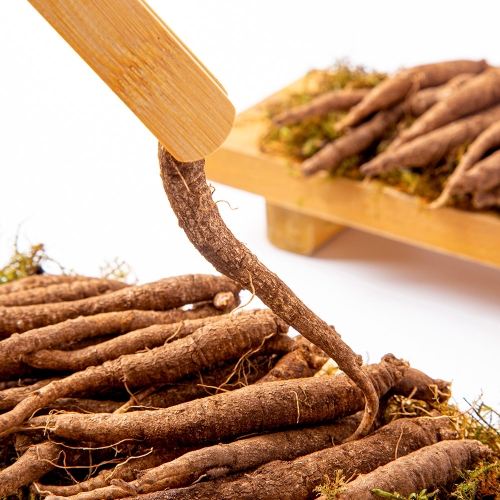 더조은 제주산 향긋한 흙더덕 2kg 실속