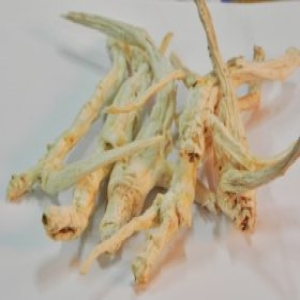 [불명] 토종자연산도라지.통도라지, 1년생절도라지 환절기에좋은 산도라지 길경 도라지분말  목관리에 좋은 자연산 산도라지_이미지