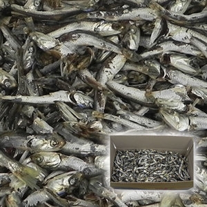 멸치원 짜지않고 맛있는 국내산 세세멸치 /볶음/조림