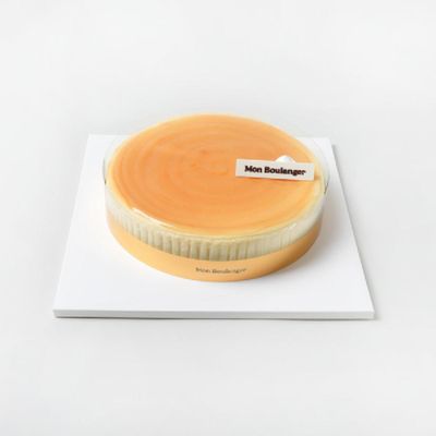 �������� Ŭ���� ġ������ũ 436g