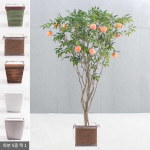 플라워트리 라인-복숭아나무화분set 210cm  조화  FREOFT_이미지