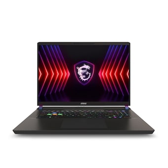 MSI 벡터 17 HX A13VHG-i9 WIN11 32GB램