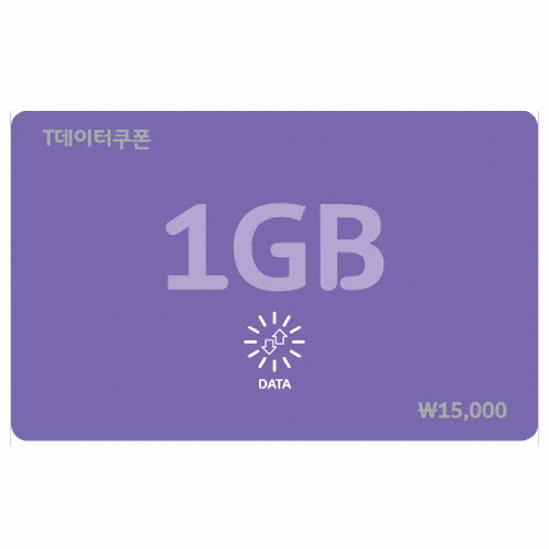 SKT T데이터 쿠폰 (1GB)