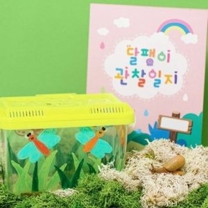 민화샵 달팽이 키우기 세트 곤충채집 관찰일지 사육장-WE6FAFC_이미지