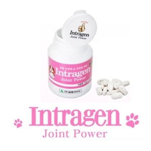 알캠코리아 인트라젠 조인트파워 120p (1개)