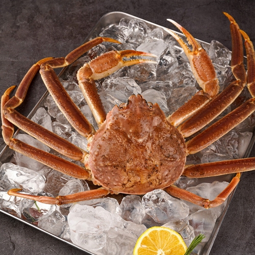 자연맛남 살이 꽉 찬 러시아대게 2kg 2미 자숙 (1개)_이미지