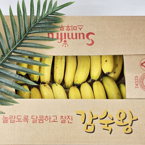 월드마켓 쥬스용 실속 낱발 고당도 바나나 6kg_이미지