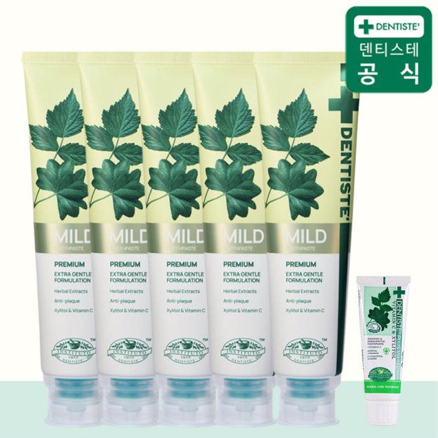 덴티스테 마일드 치약 160g x 5개 + 20g x 1개