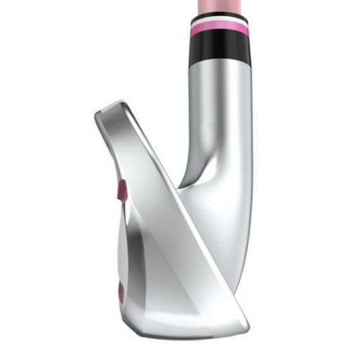 던롭 젝시오 12 여성용 아이언 카본 (병행 5개 보르도)_이미지