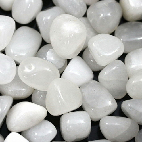 세진 ㅤ화이트 오닉스 10-20mm (500g)_이미지