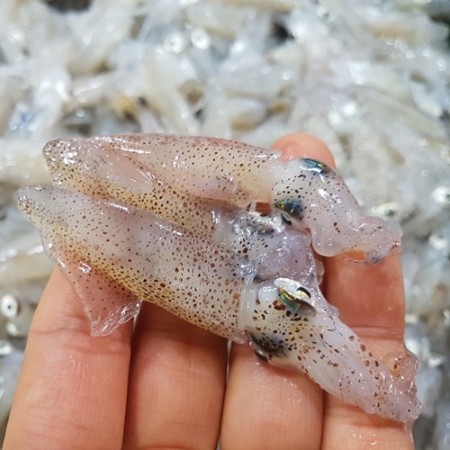 ��ǰ �� �̹���