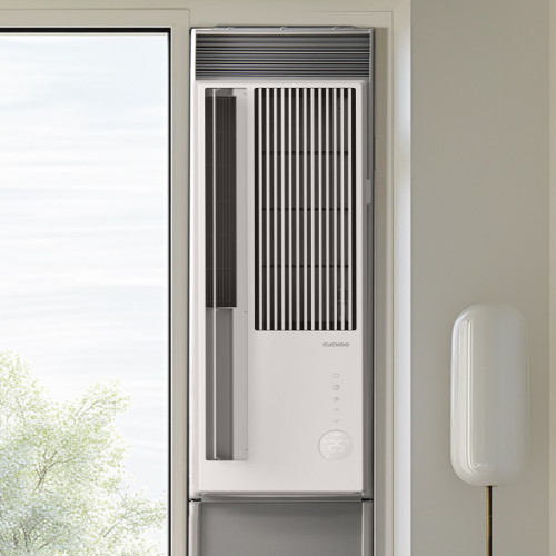 �������� �ν�ǻ�� CA-BWFFDE0620NW