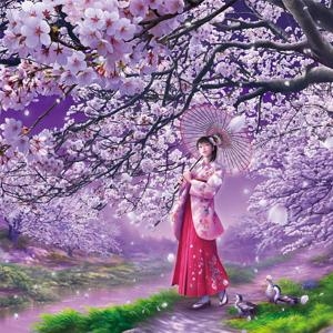 사쿠라의 바람  300피스/직소퍼즐/인물/PL484