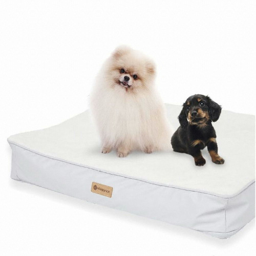 피피네트웍스 엘레강스 ㅤ사각 펫쿠션 (핑크)_이미지