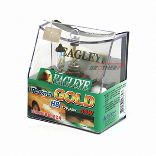 �������� �̱۾��� �ö�� ���