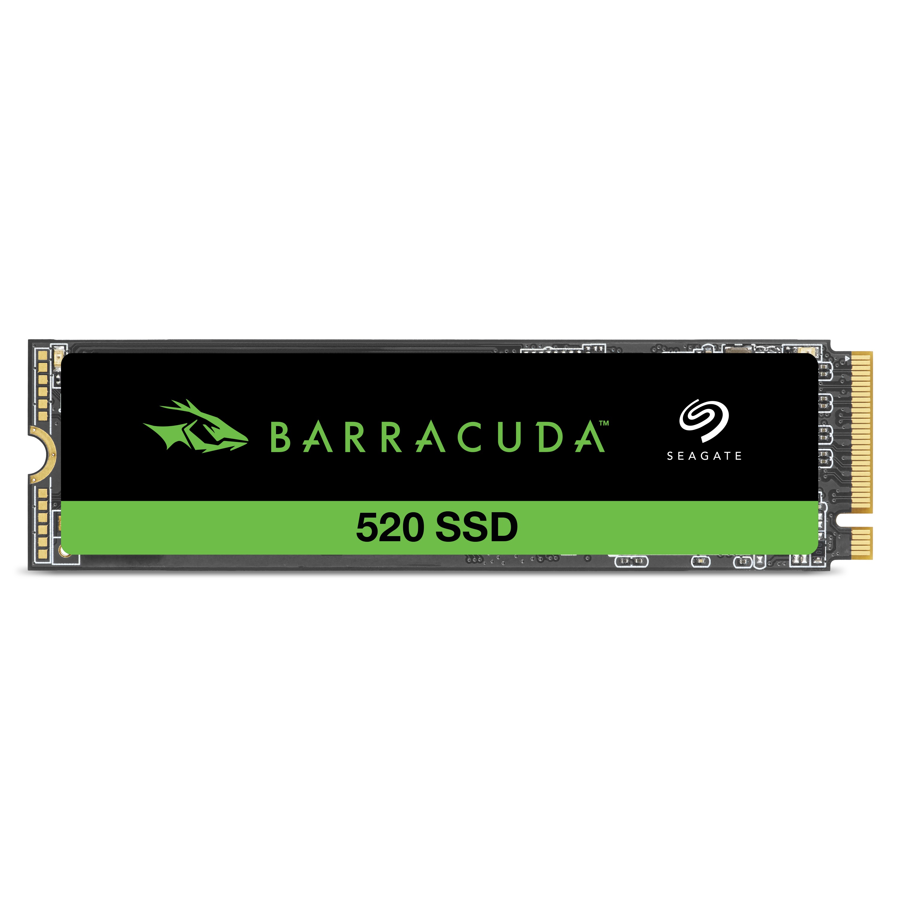 Seagate 바라쿠다 520 M.2 NVMe 해외구매 (1024GB)_이미지