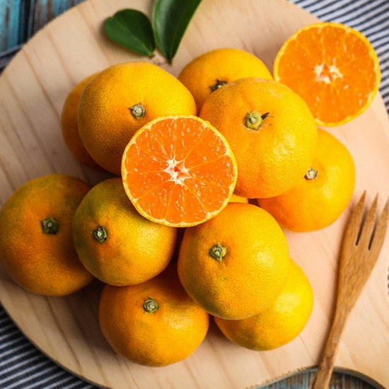 �ູ�ѳ�� ���ο��ĸ� ���� ���� ���� �����̾��� 9kg