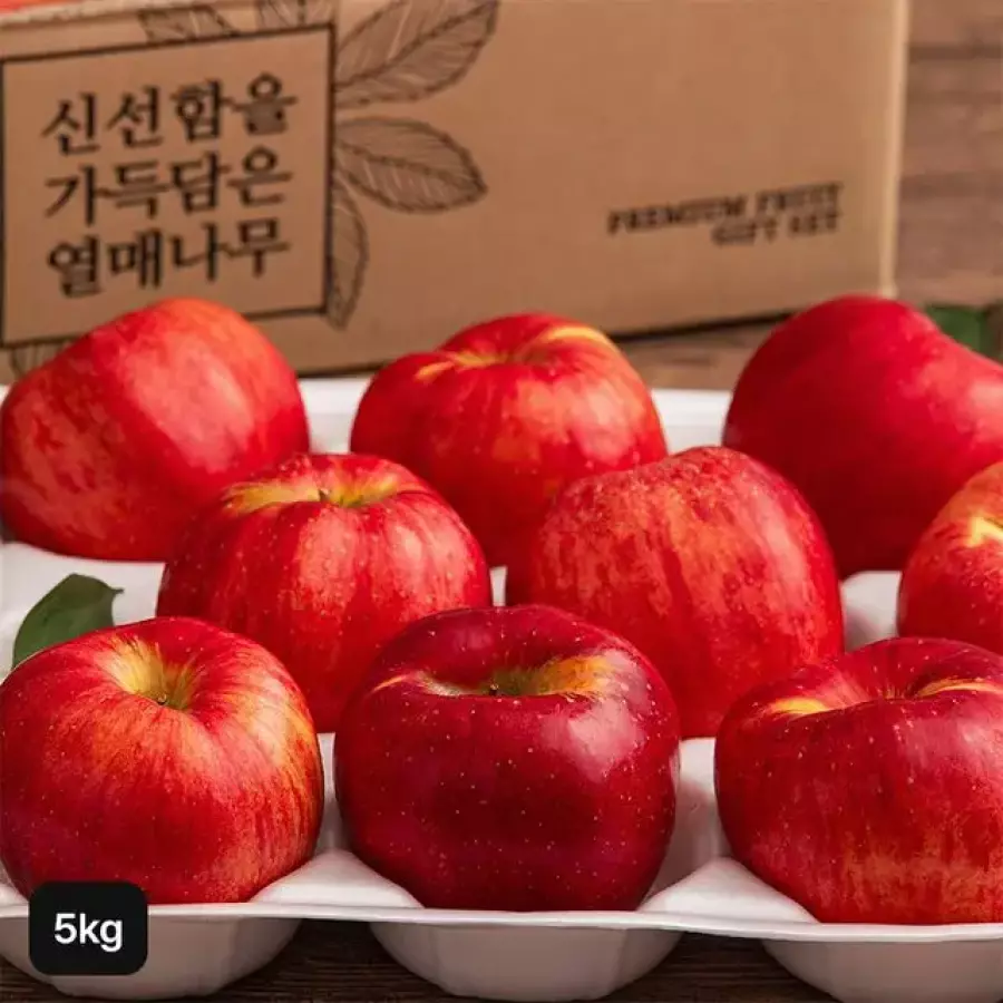열매나무 못난이 홍로사과 2.5kg