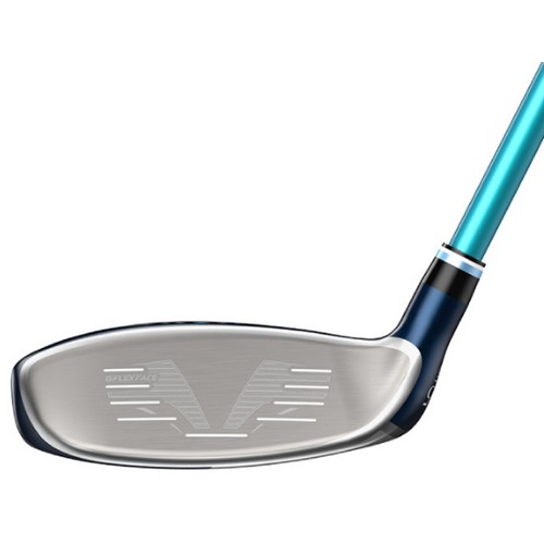 ���� ���ÿ� 13 ������ ���̺긮��