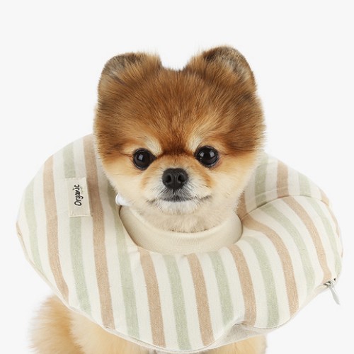 이츠독 오가닉 홈케어링 넥카라 올리브 (XL)